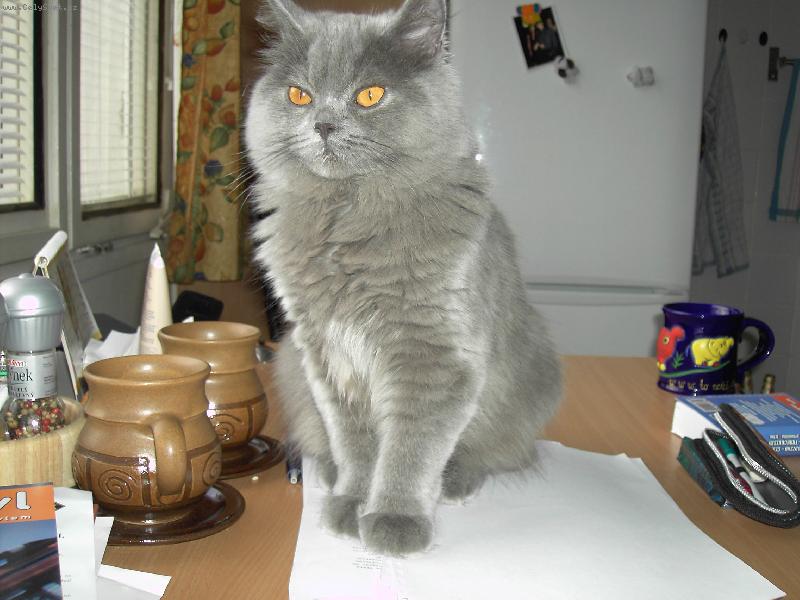 Foto: Arturek